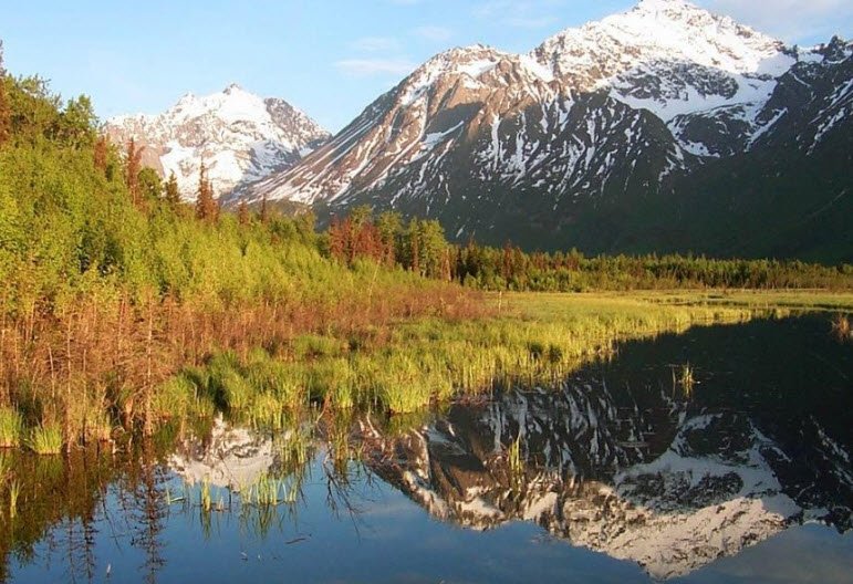 Eagle Trail State Recreation Site, Alaska, USA